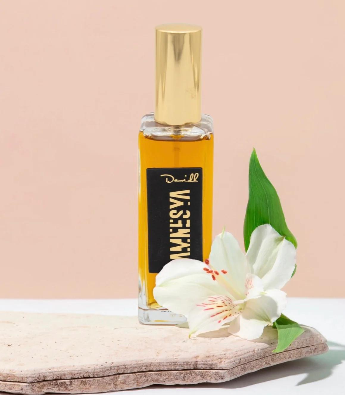 AMNESYA Dawidh  by RAS NY